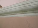 Thumbnail of Detail of moulding of plaster cornice