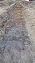 Thumbnail of View to W, trench 3 1x1x2m scale