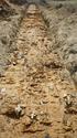 Thumbnail of View to SE, trench 5 1x1x2m scale