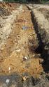 Thumbnail of View to SE  trench 7 1x1x2m scale