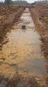 Thumbnail of View to SE Trench 8, 1x2m 1x1m scale