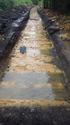 Thumbnail of View to NW Trench 12, 1x2m 1x1m scale