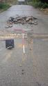 Thumbnail of View to SW Trench 13, 1x2m 1x1m scale