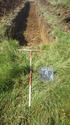 Thumbnail of View to NW Trench 17, 1x2m 1x1m scale