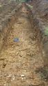 Thumbnail of View to SE Trench 16, 1x2m 1x1m scale