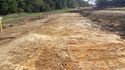 Thumbnail of View SE, Soil Strip Area D 2x1m