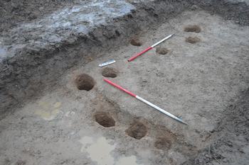 South-east facing shot of possible building in Trench 12 (1m x 1m scale)