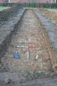Thumbnail of North facing shot of Trench 2 (1m x 1m scale)