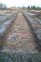 Thumbnail of East facing shot of Trench 11 (1m x 1m scale)