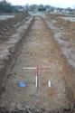 Thumbnail of North facing shot of Trench 12 (1m x 1m scale)