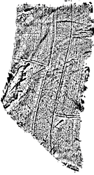 Rendered Image from Geophysical Survey