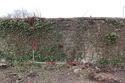 Thumbnail of N. face of boundary wall, west of and overlapping with 4385, view S, 1m + 2m.