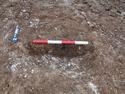 Thumbnail of Excavation: Posthole 1019 looking S