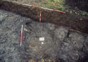 Thumbnail of Plate 4.7: pit 689 showing the overlying peat layer. Facing north, scales 2m, 1m and 0.5m.