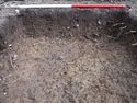 Thumbnail of SW facing section of Test Pit 10
