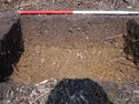 Thumbnail of SW facing section Test Pit 11