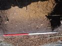 Thumbnail of SE facing section of Test Pit 12