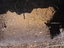 Thumbnail of SE facing section of Test Pit 12