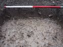 Thumbnail of NE facing section of Test Pit 16