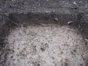 Thumbnail of NE facing section of Test Pit 16