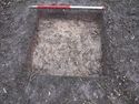 Thumbnail of S facing section of Test Pit 17