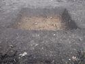 Thumbnail of S facing section of Test Pit 18
