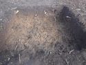 Thumbnail of S facing section of Test Pit 21 w/o scale