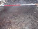 Thumbnail of NW facing section of Test Pit 22