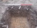 Thumbnail of W facing section of Test Pit 5