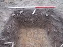 Thumbnail of W facing section of Test Pit 5