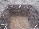 Thumbnail of W facing section of Test Pit 5