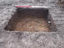 Thumbnail of NE facing section of Test Pit 6