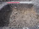 Thumbnail of SE facing section of Test Pit 8