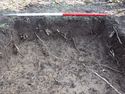 Thumbnail of NE facing section of Test Pit 9