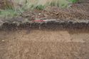 Thumbnail of E-Facing section of Palaeochannel [A0403]