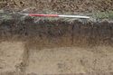 Thumbnail of E-Facing representative section of Trench A04