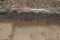 Thumbnail of E-Facing representative section of Trench A04