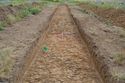 Thumbnail of E-facing pre-excavation shot of Trench A015