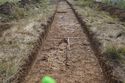 Thumbnail of E-Facing Post-excavation Trench 14