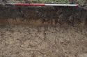 Thumbnail of E-Facing representative section of Trench CNA17