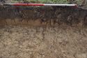 Thumbnail of E-Facing representative section of Trench CNA17