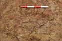 Thumbnail of E-facing pre-excavation of possible posthole [1032] in Trench 1