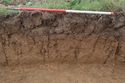 Thumbnail of N-Facing representative section of Trench 1