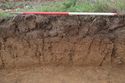 Thumbnail of N-Facing representative section of Trench 1