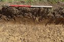 Thumbnail of E-facing representative section of Trench 05