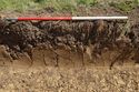 Thumbnail of E-facing representative section of Trench 06