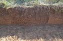 Thumbnail of E-facing representative section of Trench A09