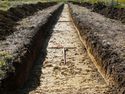 Thumbnail of E-facing post-excavation shot of Trench G06