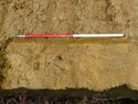 Thumbnail of E-Facing section of [G1102]