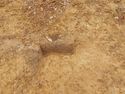 Thumbnail of E. facing section of Terminus Gully [1015] Area B